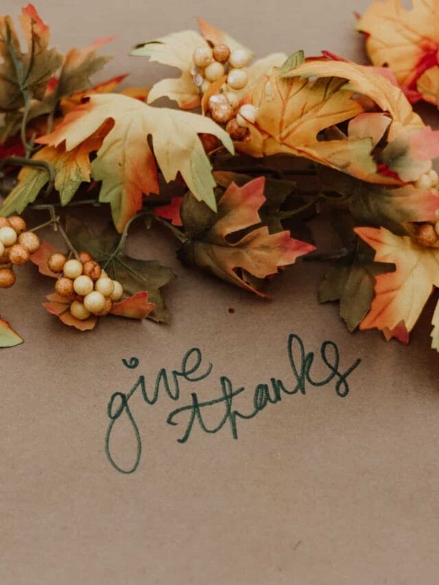 27 Thanksgiving Decoration Ideas