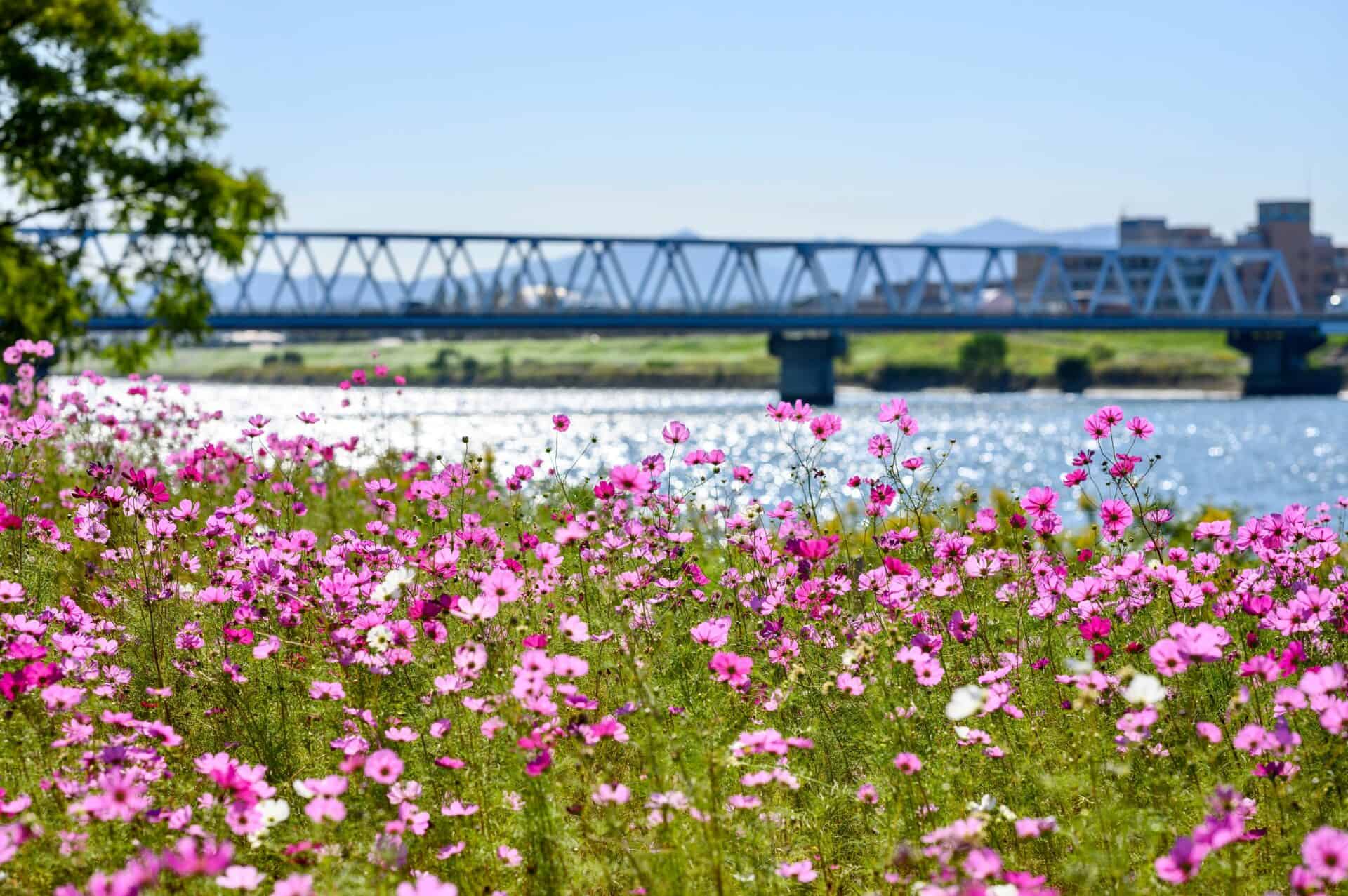 Unique kid friendly spring break destinations in the united states story saving talents