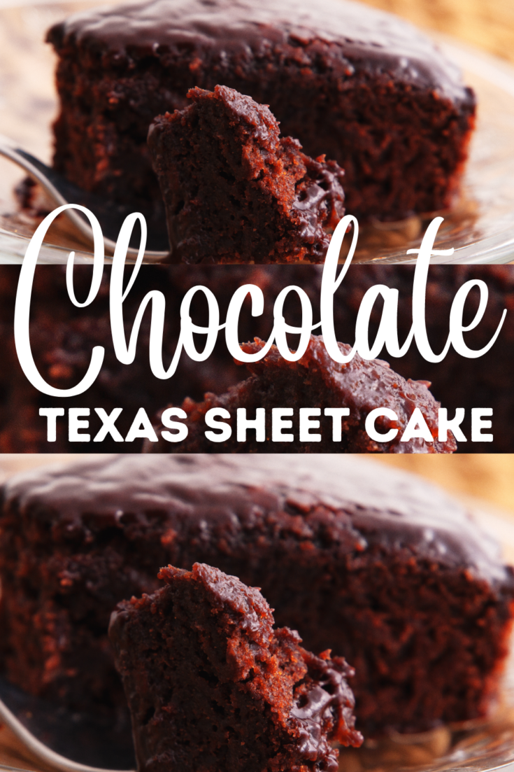 Image for Chocolate Texas Sheet Cake - How To Make Moist & Delicious