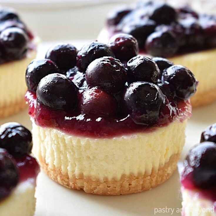 Image for Mini Blueberry Cheesecakes