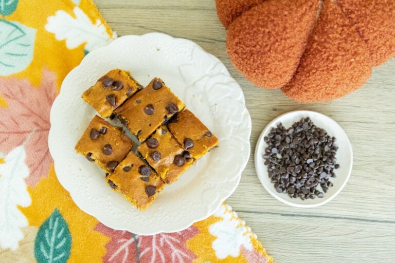 Chocolate Chip Pumpkin Bars Recipe