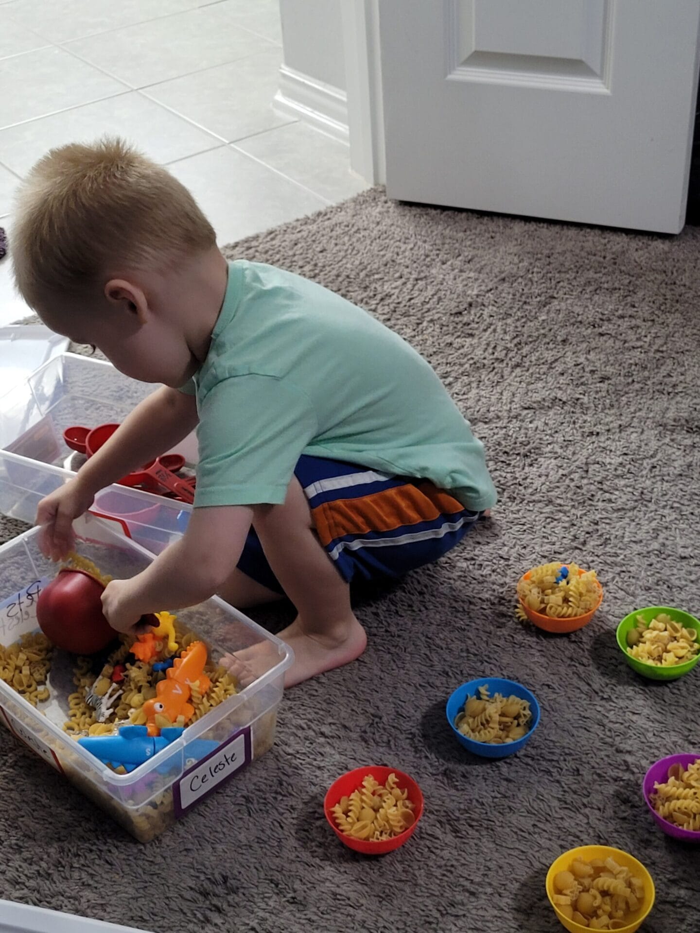 6 Frugal Kids Sensory Bin Ideas for Toddlers and Preschoolers - Saving ...