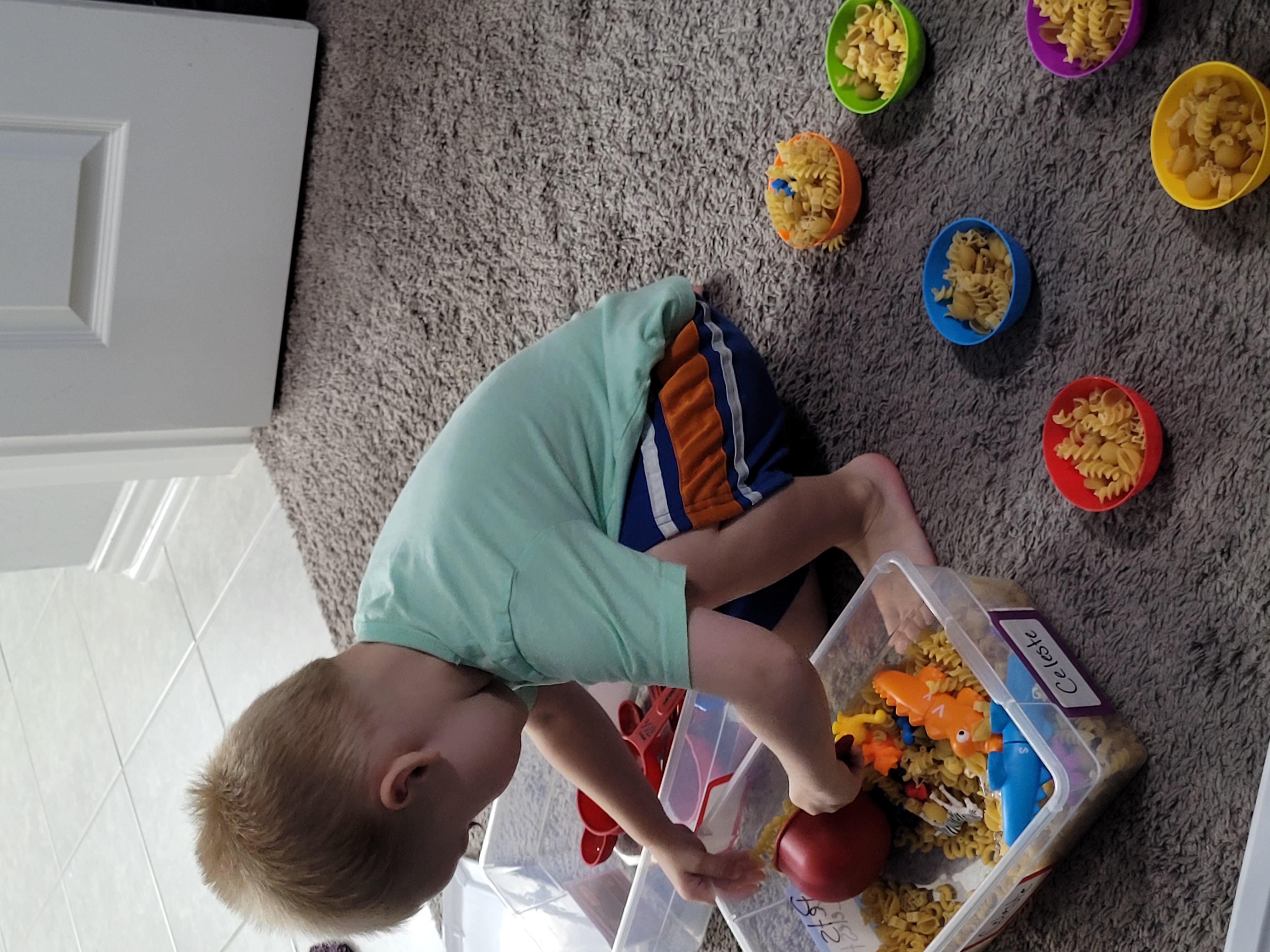 6 Frugal Kids Sensory Bin Ideas for Toddlers and Preschoolers - Saving ...