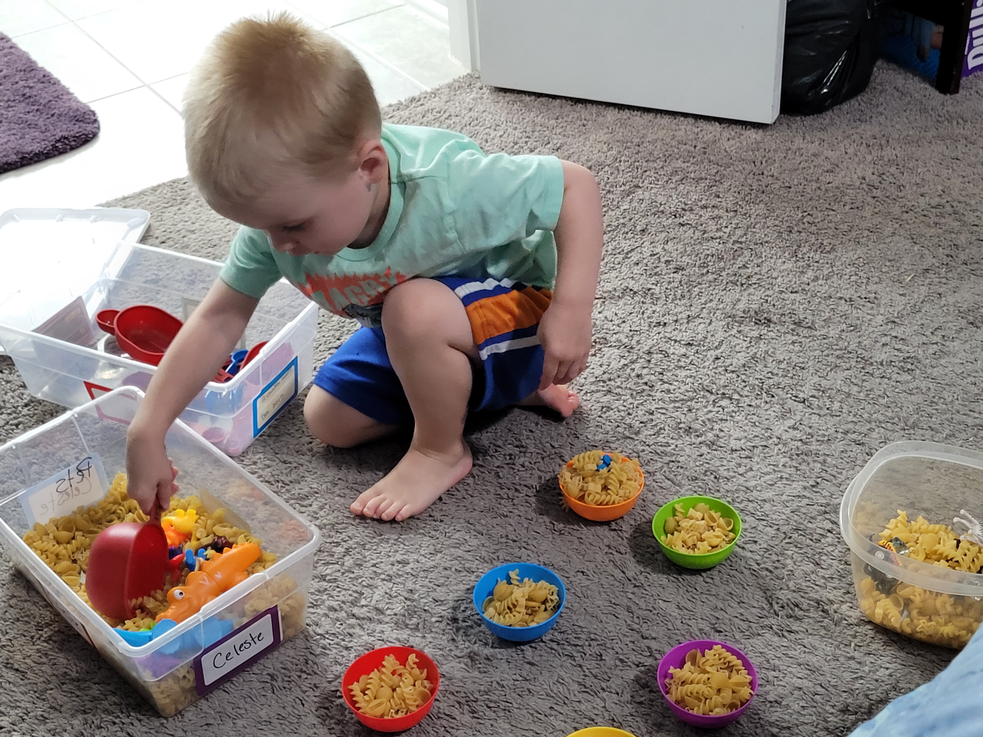 6 Frugal Kids Sensory Bin Ideas for Toddlers and Preschoolers - Saving ...